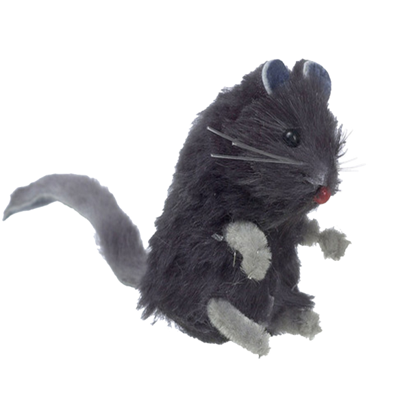 Gray Mouse